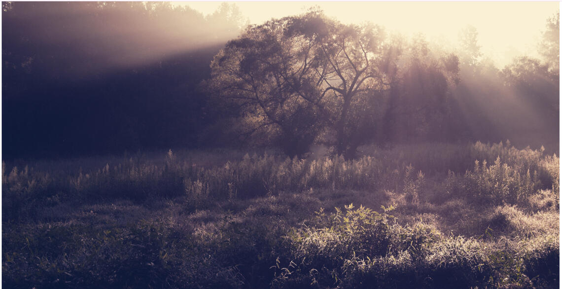 that moment when the portals were just closing as the dawn light shown over the glade where we needed to leave adventure behind...